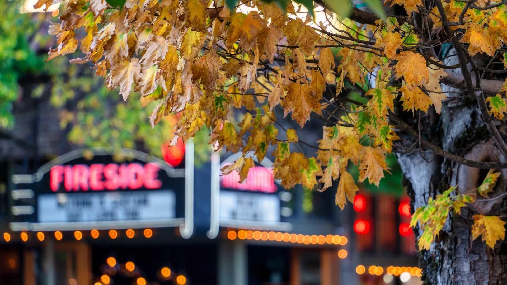 Stay Portland - The Charmante Suite- Breweries & Boutiques USA